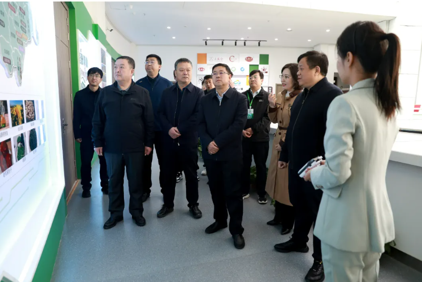 乡村e镇授牌仪式4