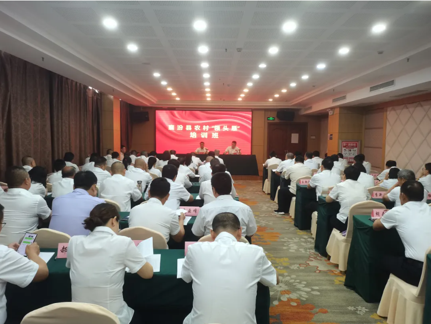 农村领头雁培训班