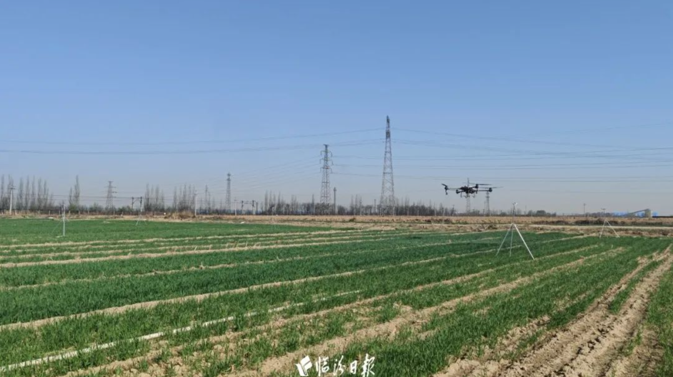 200亩小麦4 200亩小麦4