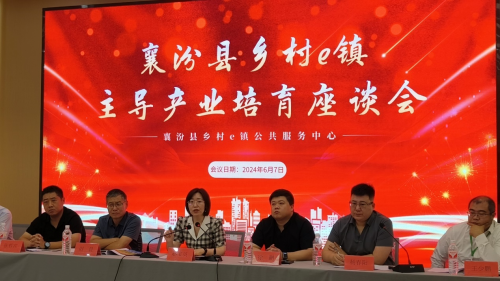 襄汾县乡村e镇主导产业培育座谈会 襄汾县乡村e镇主导产业培育座谈会