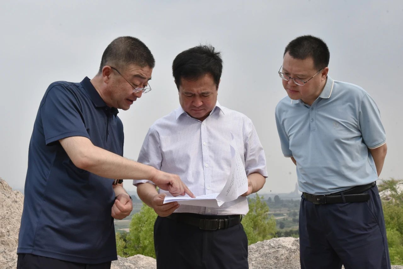 县委书记调研古城镇1