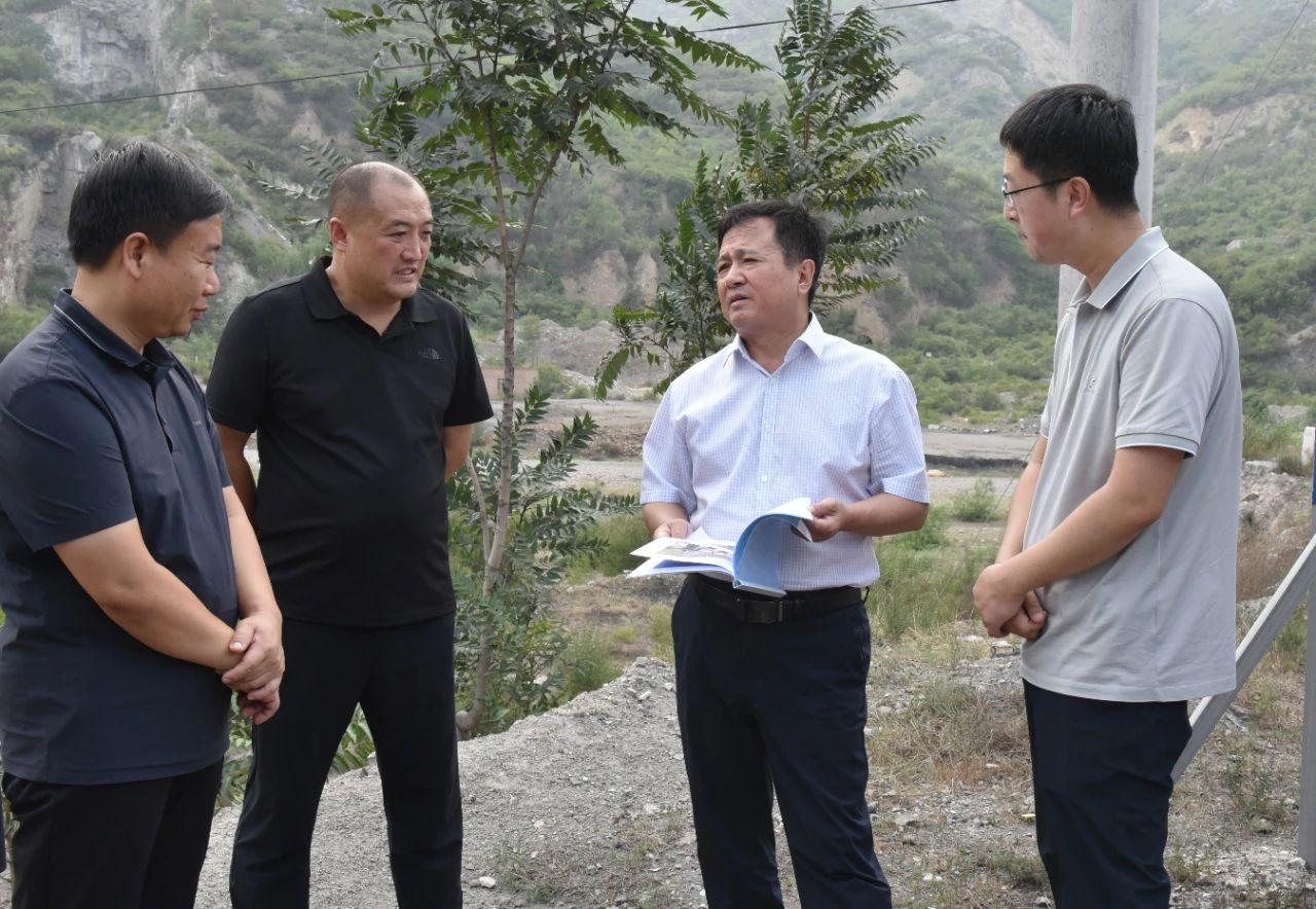 县委书记调研古城镇2