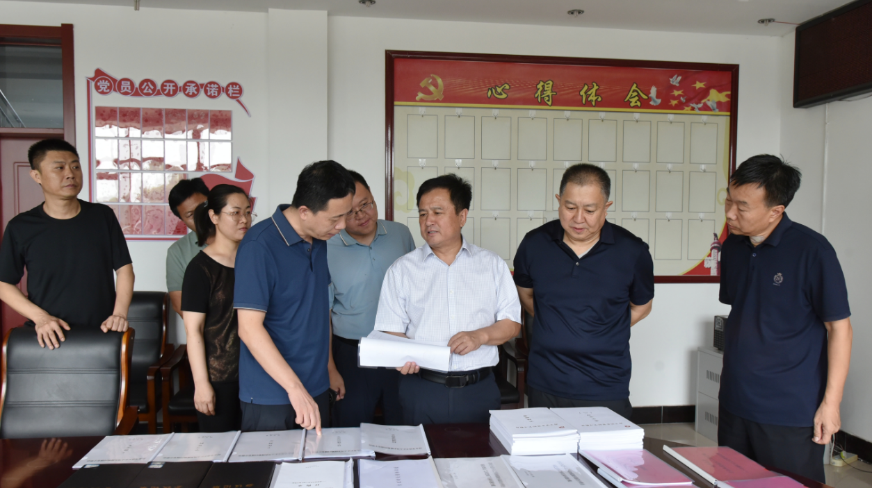 县委书记调研古城镇3