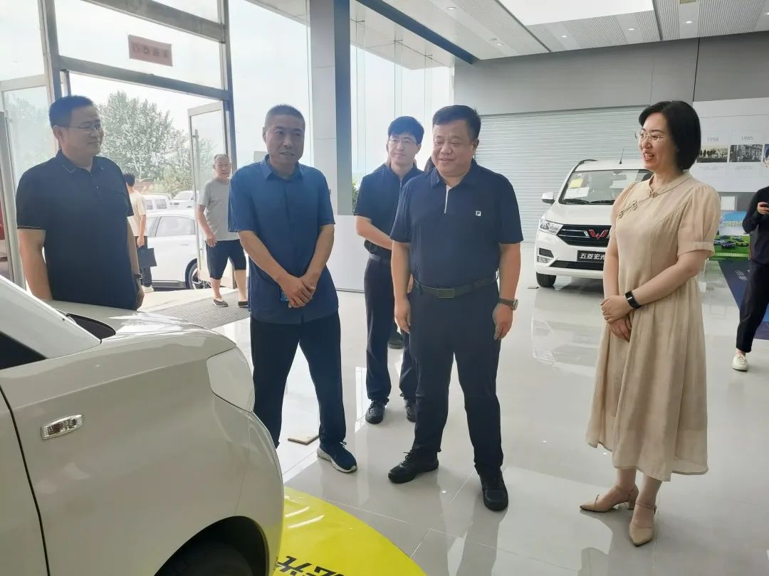 d3ed5fbb4199cc9bb4d309a7a063ae01