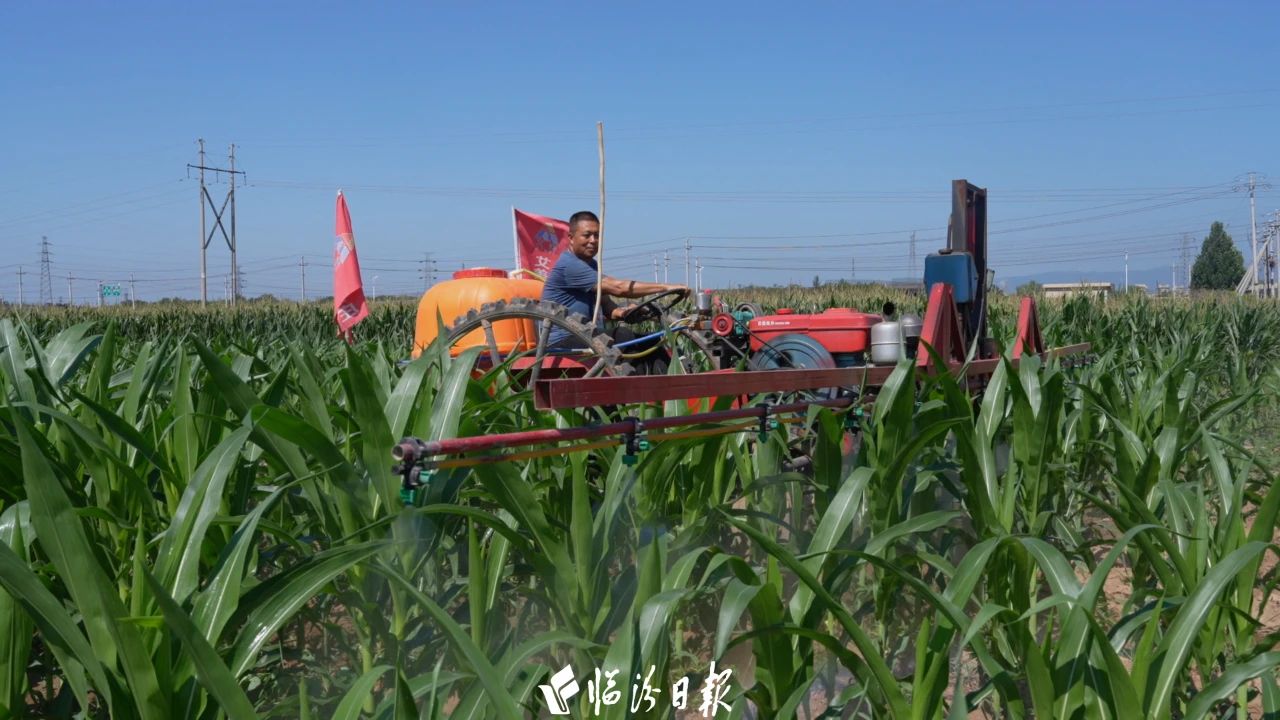 a1ad6fe2228e72ca0cbe8adba8da5070 a1ad6fe2228e72ca0cbe8adba8da5070