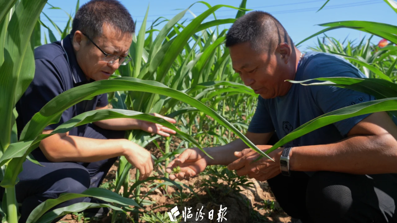 957f6c230bcad348607c2c6193f66da5 957f6c230bcad348607c2c6193f66da5