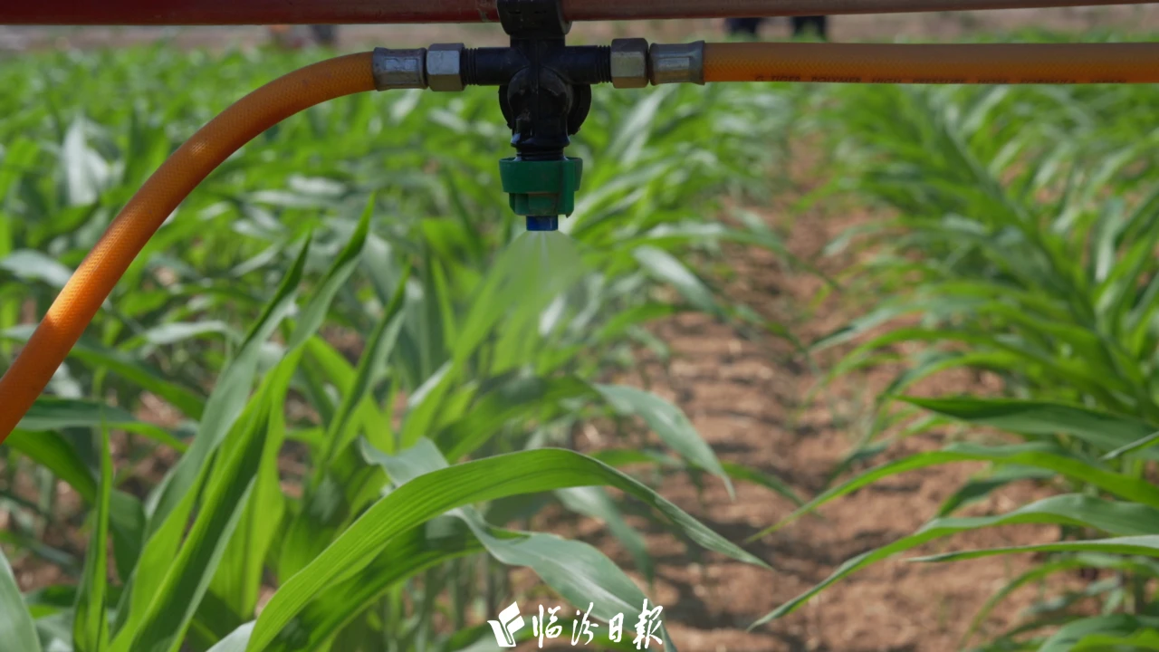 c6444f5218950df8817ce6cae88e2468 c6444f5218950df8817ce6cae88e2468