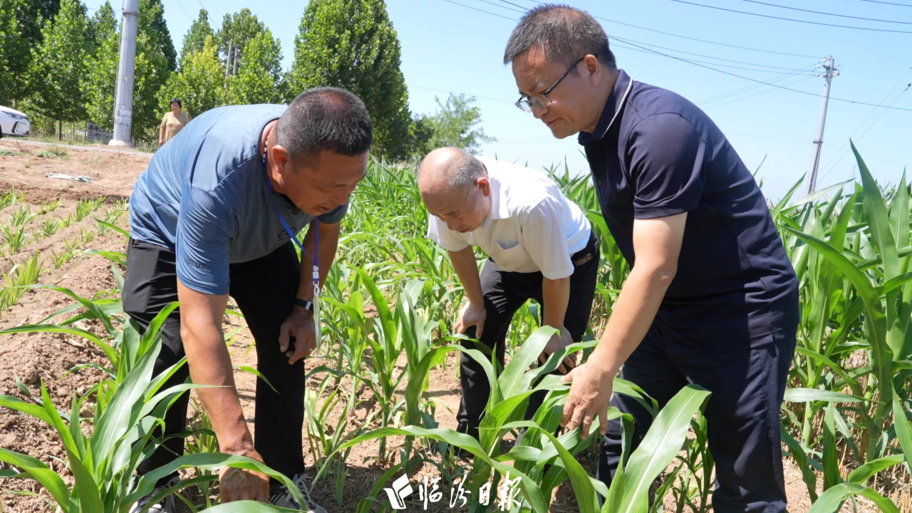 0729a3a1f9410fa81a5a1a17c2e2c29c 0729a3a1f9410fa81a5a1a17c2e2c29c