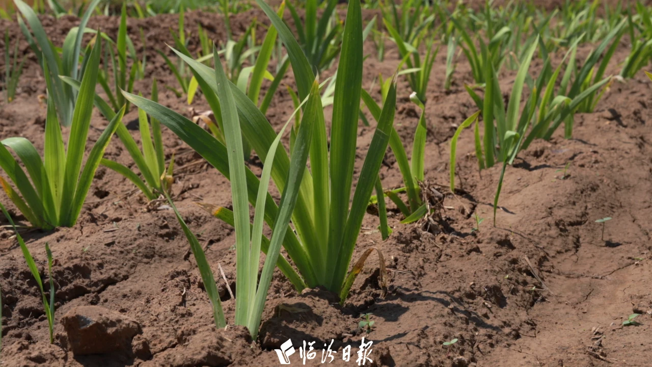 11023f4bc6c8cd67f1b4abce33744270 11023f4bc6c8cd67f1b4abce33744270