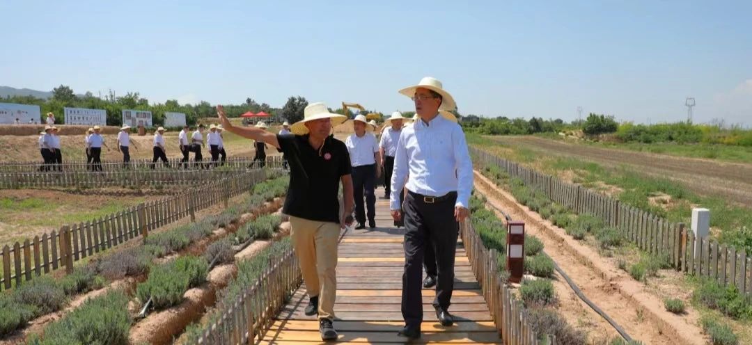 57093287cb566a81470fedf48ce33ed7